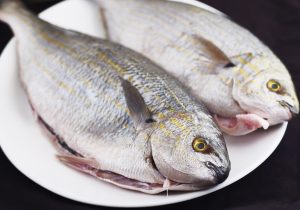 Snapper