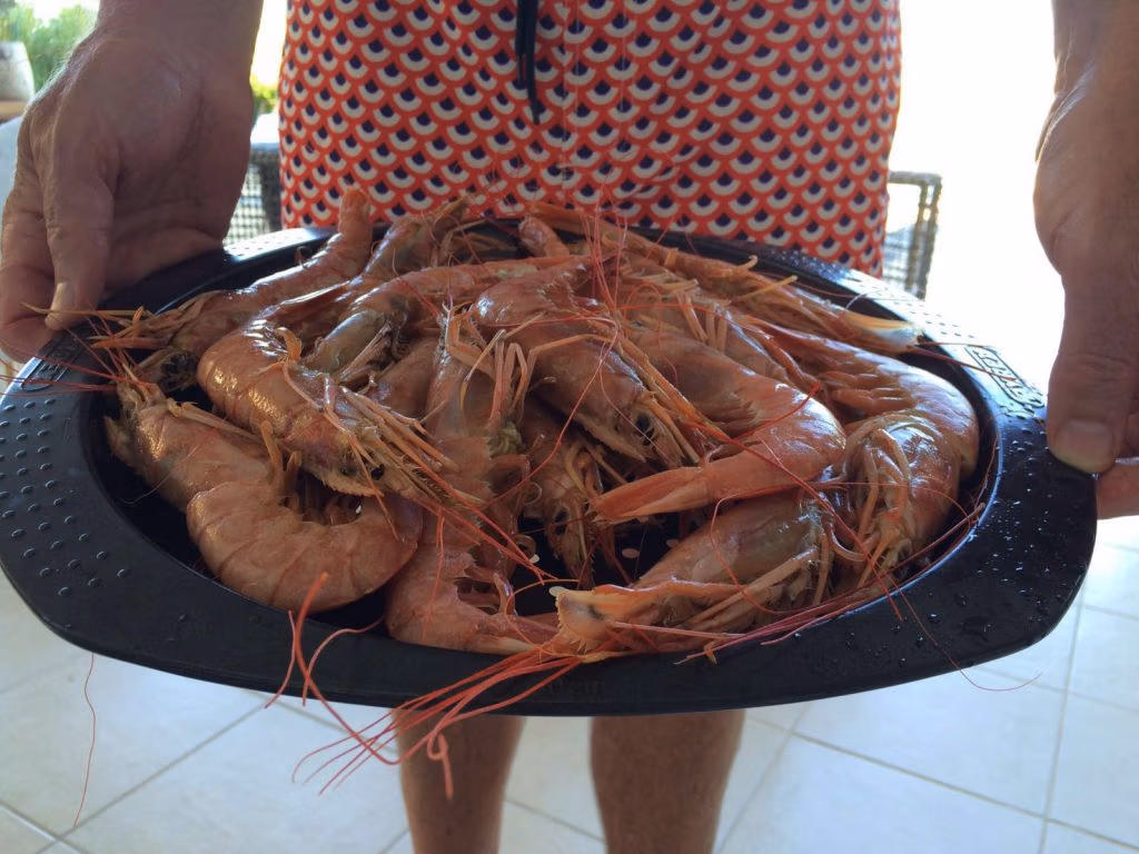 Paella